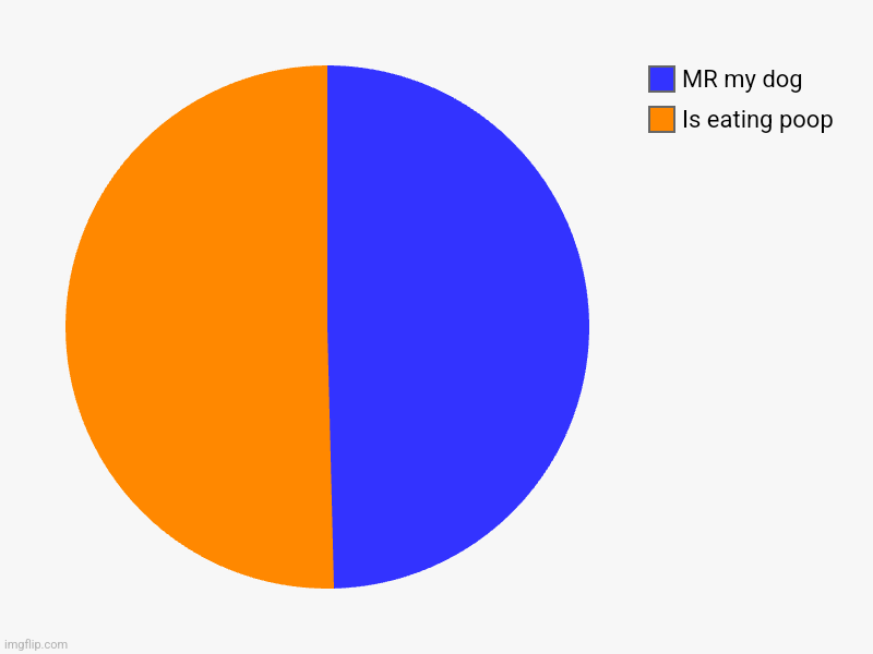 Is eating poop, MR my dog | image tagged in charts,pie charts | made w/ Imgflip chart maker