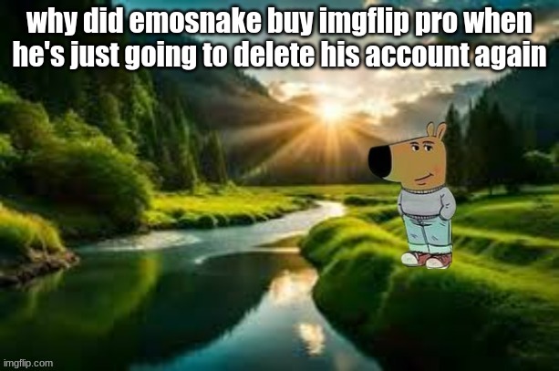 chill guy | why did emosnake buy imgflip pro when he's just going to delete his account again | image tagged in chill guy | made w/ Imgflip meme maker