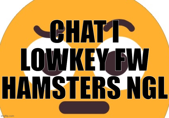 Damn | CHAT I LOWKEY FW HAMSTERS NGL | image tagged in damn | made w/ Imgflip meme maker