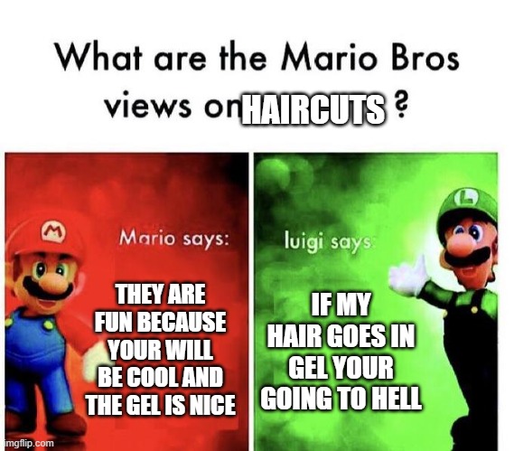 Mario Bros Views | HAIRCUTS; THEY ARE FUN BECAUSE YOUR WILL BE COOL AND THE GEL IS NICE; IF MY HAIR GOES IN GEL YOUR GOING TO HELL | image tagged in mario bros views | made w/ Imgflip meme maker