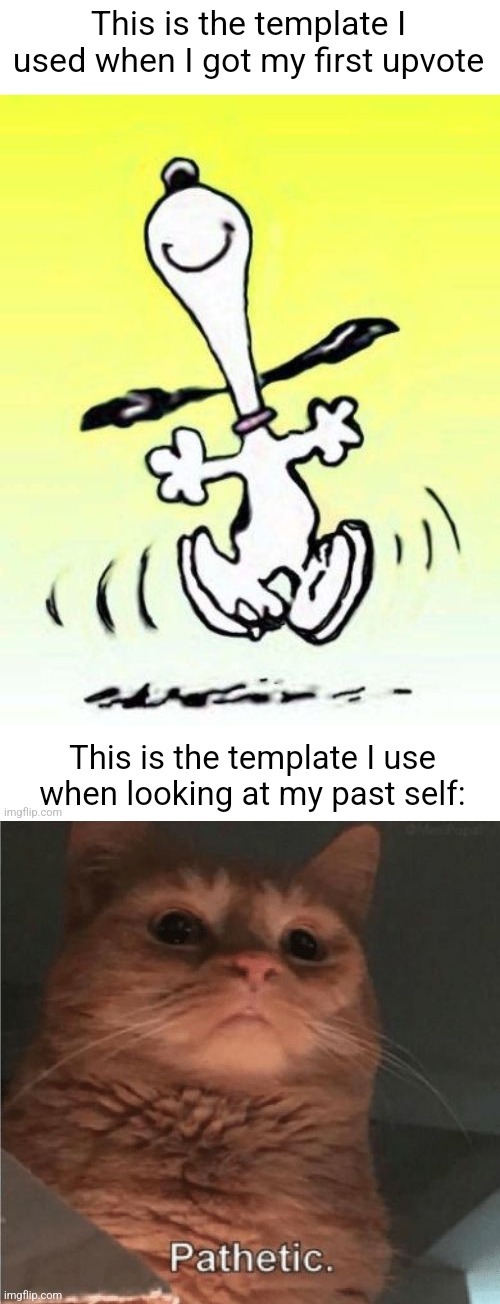 Weak. | image tagged in pathetic cat | made w/ Imgflip meme maker