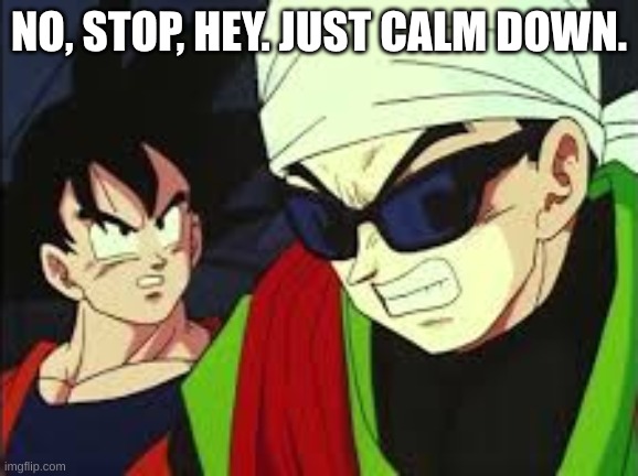 No stop it just calm down. | NO, STOP, HEY. JUST CALM DOWN. | image tagged in no stop it just calm down | made w/ Imgflip meme maker