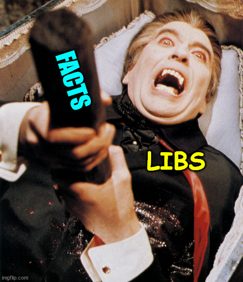 The truth is lethal for libs | FACTS; LIBS | image tagged in dracula stake,libs hate truth | made w/ Imgflip meme maker