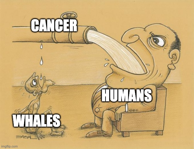 The Peto's Paradox | CANCER; HUMANS; WHALES | image tagged in greedy pipe man,cancer,human,whale | made w/ Imgflip meme maker