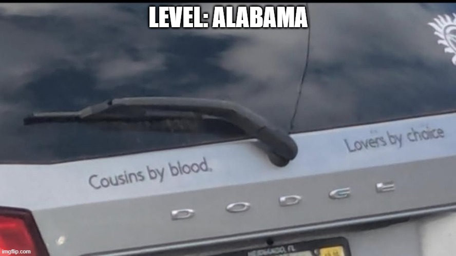 Sweet Home Alabama | LEVEL: ALABAMA | image tagged in dark humor | made w/ Imgflip meme maker