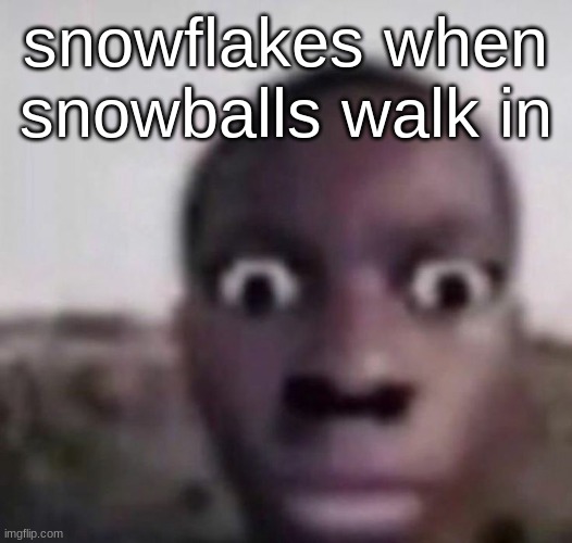 bruh what | snowflakes when snowballs walk in | image tagged in bruh what | made w/ Imgflip meme maker