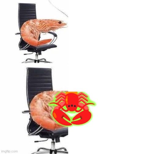 image tagged in chair shrimp,blank white template | made w/ Imgflip meme maker