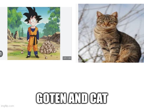 GOTEN AND CAT | made w/ Imgflip meme maker