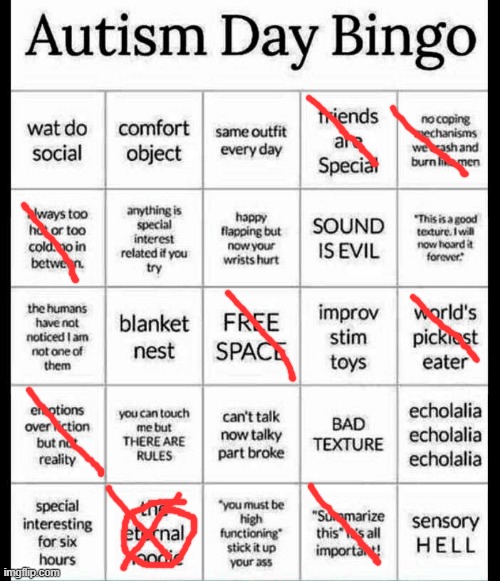 i've finally phased out the 7 year old nasa hoodie, now the only hoodie i wear is my green hoodie | image tagged in autism bingo | made w/ Imgflip meme maker