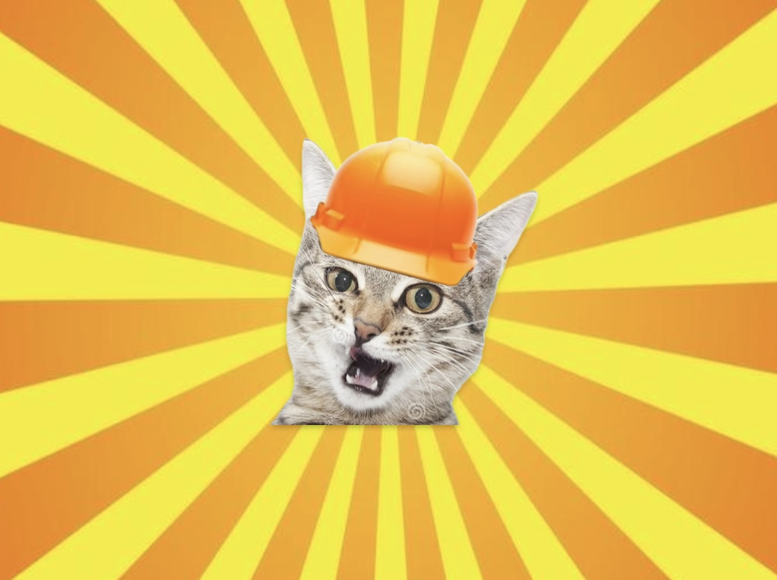 High Quality Construction Cat Blank Meme Template