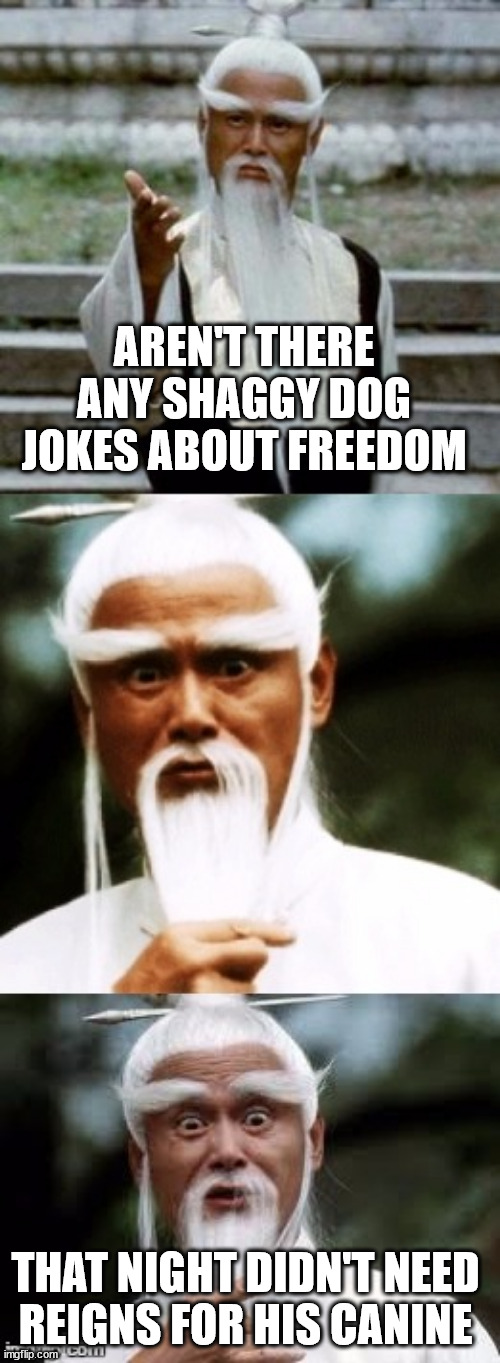 Bad Pun Chinese Man | AREN'T THERE ANY SHAGGY DOG JOKES ABOUT FREEDOM THAT NIGHT DIDN'T NEED 
REIGNS FOR HIS CANINE | image tagged in bad pun chinese man | made w/ Imgflip meme maker