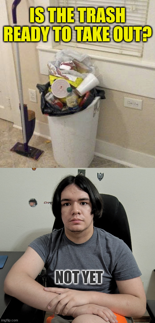 It's nap time. Smell ya later. | IS THE TRASH READY TO TAKE OUT? DJ Anomalous; NOT YET | image tagged in neutral reaction guy,garbage,procrastination,apathy | made w/ Imgflip meme maker