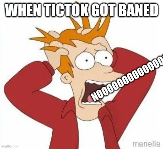 MA NOOOOOOOOOO | WHEN TICTOK GOT BANED; NOOOOOOOOOOOOOO | image tagged in ma noooooooooo | made w/ Imgflip meme maker