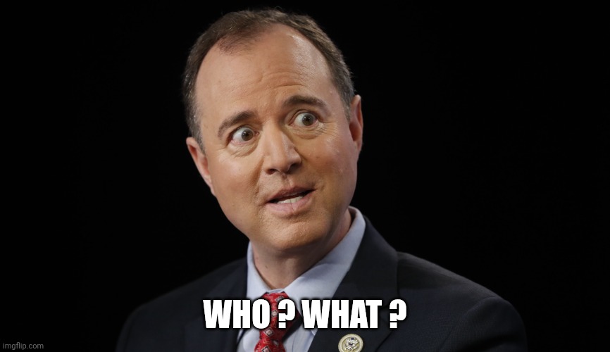 Adam schiff | WHO ? WHAT ? | image tagged in adam schiff | made w/ Imgflip meme maker