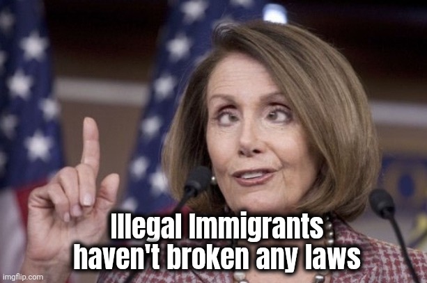 Nancy pelosi | Illegal Immigrants haven't broken any laws | image tagged in nancy pelosi | made w/ Imgflip meme maker
