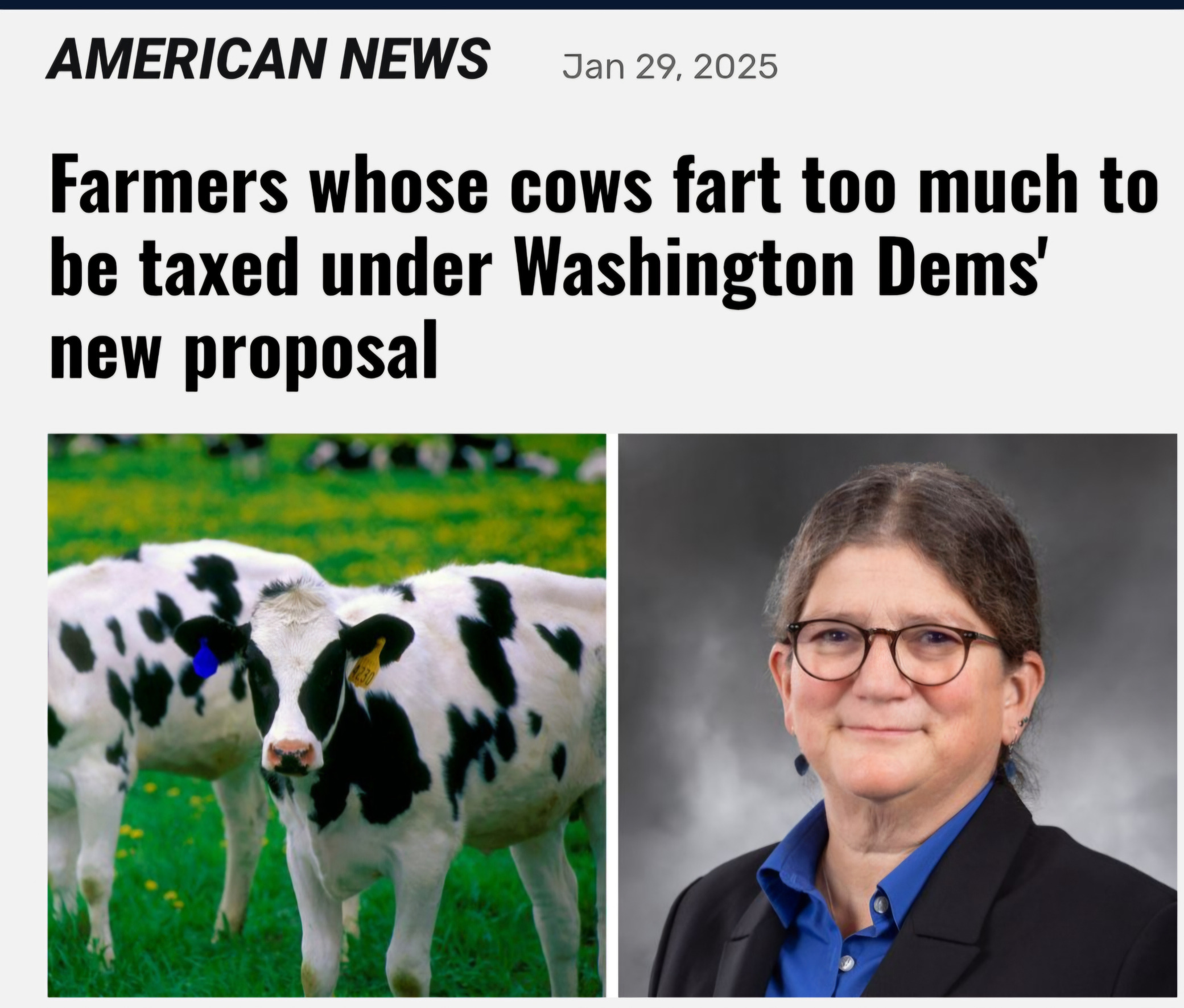 Farting cows Blank Meme Template