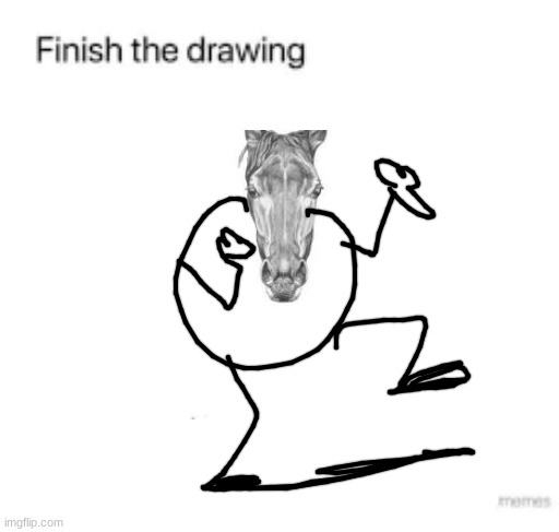 Finish the drawing | image tagged in finish the drawing | made w/ Imgflip meme maker