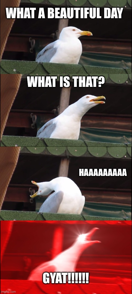 Inhaling Seagull Meme | WHAT A BEAUTIFUL DAY; WHAT IS THAT? HAAAAAAAAA; GYAT!!!!!! | image tagged in memes,inhaling seagull | made w/ Imgflip meme maker