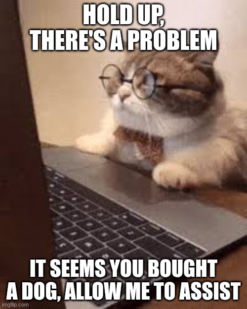 Jealous cat | HOLD UP, THERE'S A PROBLEM; IT SEEMS YOU BOUGHT A DOG, ALLOW ME TO ASSIST | image tagged in cat,computer,i am smort | made w/ Imgflip meme maker