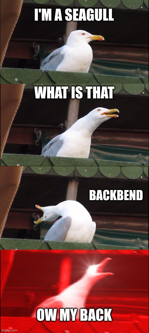 Inhaling Seagull | I'M A SEAGULL; WHAT IS THAT; BACKBEND; OW MY BACK | image tagged in memes,inhaling seagull | made w/ Imgflip meme maker