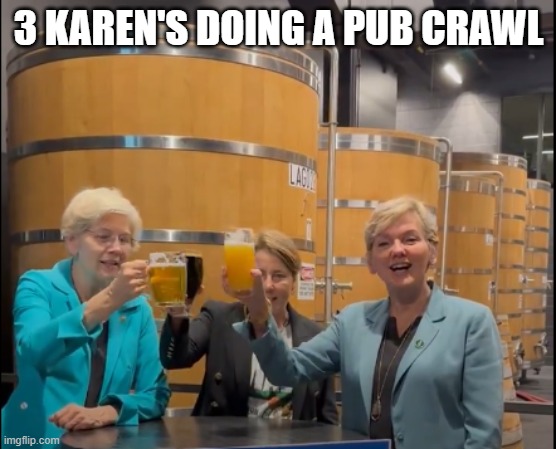 3 Karen's Doing a Pub Crawl | 3 KAREN'S DOING A PUB CRAWL | image tagged in elizabeth warren,maura healy,massachusetts | made w/ Imgflip meme maker