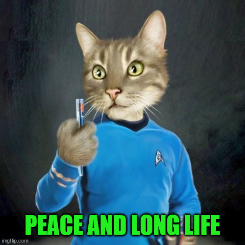 Peace and Long Life | PEACE AND LONG LIFE | image tagged in vulcan,star trek,salute,vanessa,vulcan salute pt2 | made w/ Imgflip meme maker