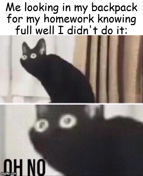 Oh no cat | Me looking in my backpack for my homework knowing full well I didn't do it: | image tagged in oh no cat | made w/ Imgflip meme maker