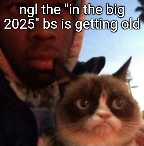 tyler the creator and grumpy cat | ngl the "in the big 2025" bs is getting old | image tagged in tyler the creator and grumpy cat | made w/ Imgflip meme maker