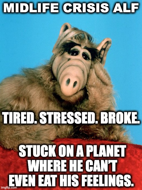 Midlife Crisis Alf | MIDLIFE CRISIS ALF; TIRED. STRESSED. BROKE. STUCK ON A PLANET WHERE HE CAN’T EVEN EAT HIS FEELINGS. | image tagged in identity crisis,alf,1980's,millennials,stuck,muppets | made w/ Imgflip meme maker