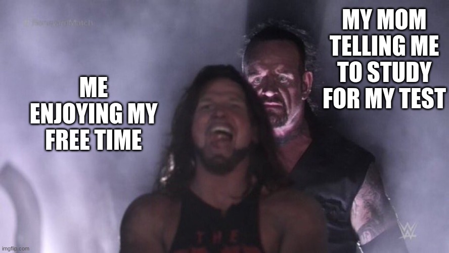 AJ Styles & Undertaker | MY MOM TELLING ME TO STUDY FOR MY TEST; ME ENJOYING MY FREE TIME | image tagged in aj styles undertaker | made w/ Imgflip meme maker