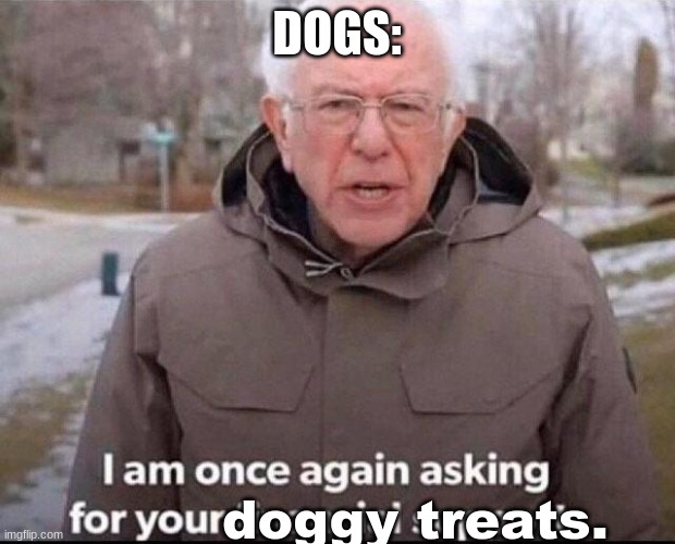 not that i have anything against dogs btw | DOGS:; doggy treats. | image tagged in i am once again asking for your financial support | made w/ Imgflip meme maker