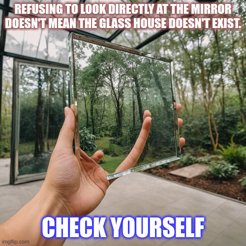 REFUSING TO LOOK DIRECTLY AT THE MIRROR DOESN'T MEAN THE GLASS HOUSE DOESN'T EXIST. CHECK YOURSELF | image tagged in memes | made w/ Imgflip meme maker