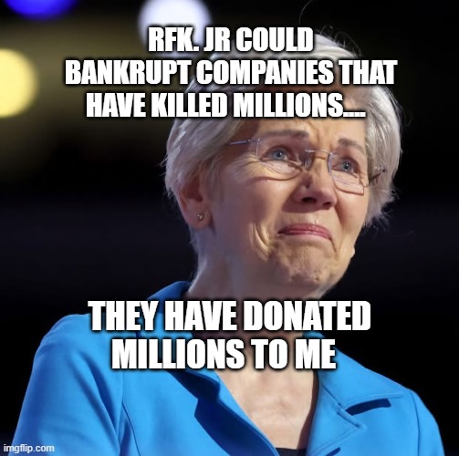 Sad Liz | RFK. JR COULD BANKRUPT COMPANIES THAT HAVE KILLED MILLIONS.... THEY HAVE DONATED MILLIONS TO ME | image tagged in sad liz | made w/ Imgflip meme maker