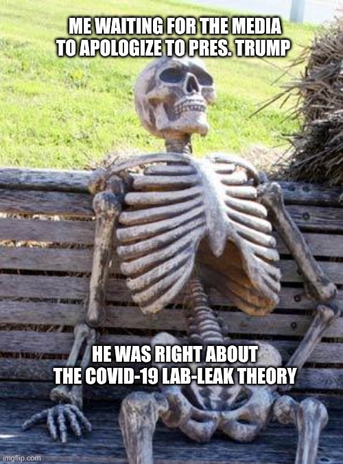 expression memes | ME WAITING FOR THE MEDIA TO APOLOGIZE TO PRES. TRUMP; HE WAS RIGHT ABOUT THE COVID-19 LAB-LEAK THEORY | image tagged in waiting skeleton,covid-19,president trump | made w/ Imgflip meme maker