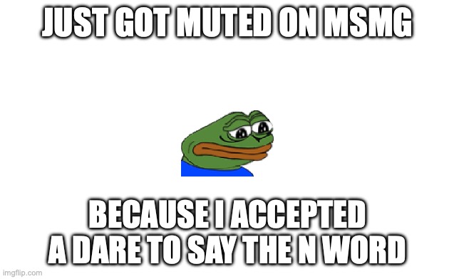 Do you blame me?! DO YOU?! | JUST GOT MUTED ON MSMG; BECAUSE I ACCEPTED A DARE TO SAY THE N WORD | image tagged in wide white template | made w/ Imgflip meme maker