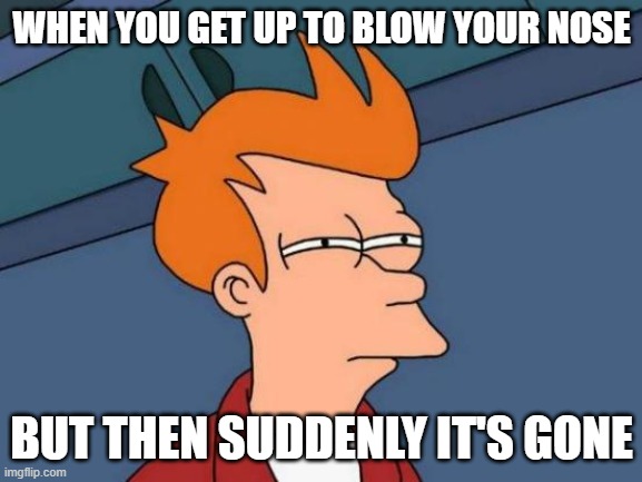 Futurama Fry | WHEN YOU GET UP TO BLOW YOUR NOSE; BUT THEN SUDDENLY IT'S GONE | image tagged in memes,futurama fry | made w/ Imgflip meme maker