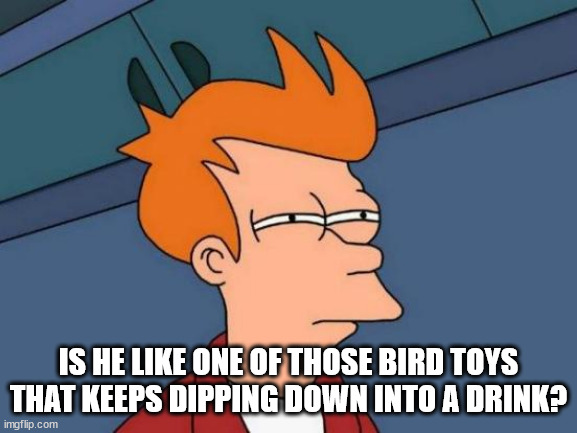 Futurama Fry Meme | IS HE LIKE ONE OF THOSE BIRD TOYS THAT KEEPS DIPPING DOWN INTO A DRINK? | image tagged in memes,futurama fry | made w/ Imgflip meme maker