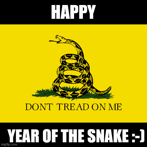 Gadsden Flag | HAPPY; YEAR OF THE SNAKE :-) | image tagged in gadsden flag | made w/ Imgflip meme maker