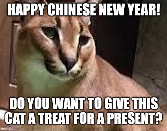 HAPPY CHINESE NEW YEAR! DO YOU WANT TO GIVE THIS CAT A TREAT FOR A PRESENT? | image tagged in memes,kitty,treat | made w/ Imgflip meme maker