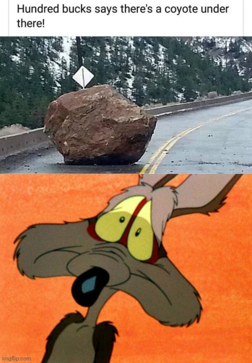 Coyote | image tagged in wile e coyote oh no,coyote,repost,reposts,memes,rock | made w/ Imgflip meme maker