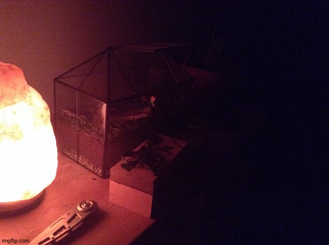 Bedside shit (there's a cactus in the background btw) | made w/ Imgflip meme maker