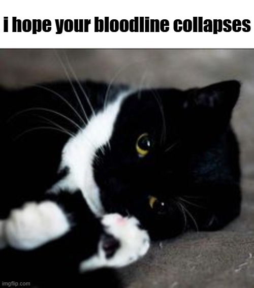 Lazy uni | i hope your bloodline collapses | image tagged in lazy uni | made w/ Imgflip meme maker