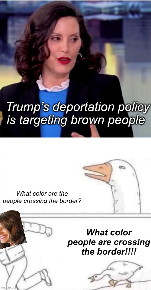 Statistics point to brown | Trump’s deportation policy is targeting brown people; What color are the people crossing the border? What color people are crossing the border!!!! | image tagged in goose chase,politics lol,memes | made w/ Imgflip meme maker