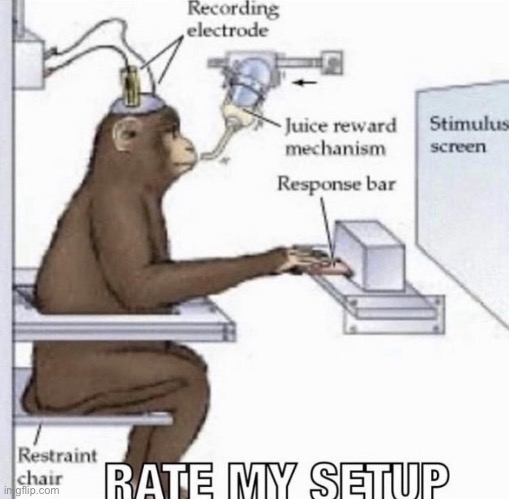 Rate my setup | image tagged in gifs,memes,funny,shitpost,setup,msmg | made w/ Imgflip meme maker