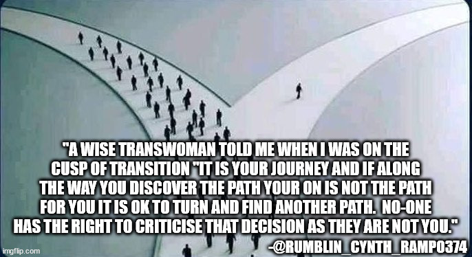 Trans Paths Wisdom | "A WISE TRANSWOMAN TOLD ME WHEN I WAS ON THE CUSP OF TRANSITION "IT IS YOUR JOURNEY AND IF ALONG THE WAY YOU DISCOVER THE PATH YOUR ON IS NOT THE PATH FOR YOU IT IS OK TO TURN AND FIND ANOTHER PATH.  NO-ONE HAS THE RIGHT TO CRITICISE THAT DECISION AS THEY ARE NOT YOU."; -@RUMBLIN_CYNTH_RAMPO374 | image tagged in transgender,paths,wisdom,love yourself,you are valid,you are loved | made w/ Imgflip meme maker