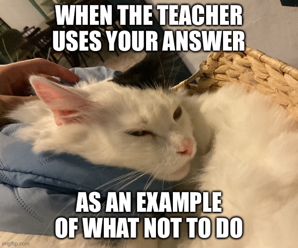 Annoyed cat | WHEN THE TEACHER USES YOUR ANSWER; AS AN EXAMPLE OF WHAT NOT TO DO | image tagged in annoyed cat | made w/ Imgflip meme maker