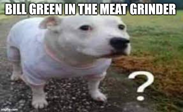 The lore behind Bill green in the meat grinder  is my brother told me to say it till it's no longer funny and I said it for 10 m | BILL GREEN IN THE MEAT GRINDER | made w/ Imgflip meme maker