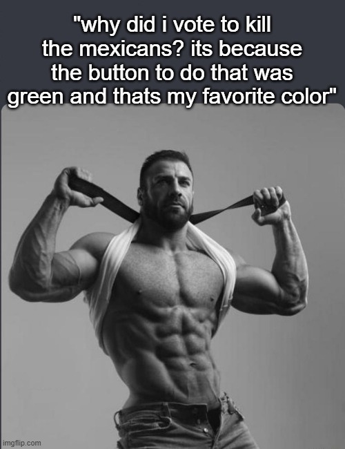 Refuses to elaborate any further | "why did i vote to kill the mexicans? its because the button to do that was green and thats my favorite color" | image tagged in refuses to elaborate any further | made w/ Imgflip meme maker