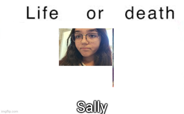 Life or death | Sally | image tagged in life or death,msmg,memes | made w/ Imgflip meme maker