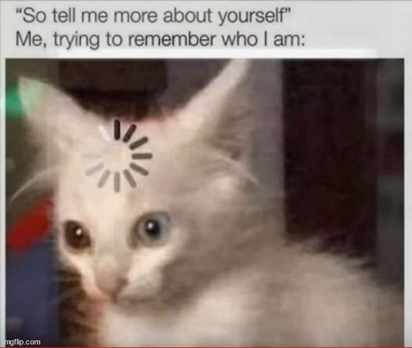 Tell me about yourself kitty | image tagged in who am i kitty,memory,bad memory,cat,humor,mindfart | made w/ Imgflip meme maker